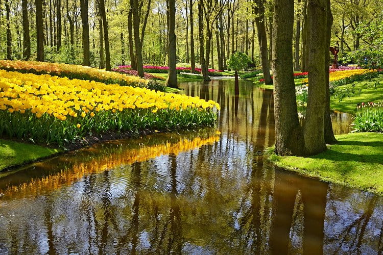 Keukenhof