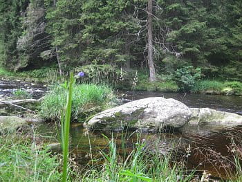 Šumava Vydra