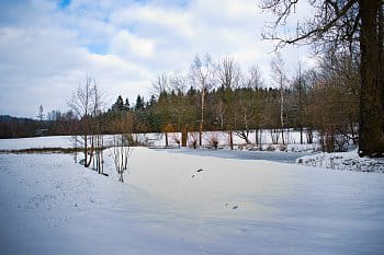 Rybníček v zimě