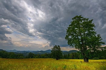 Krajina blízká