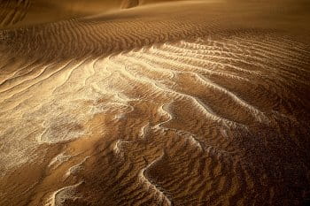 V poušti Namib (4)