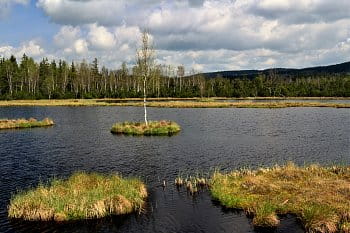 Chalupská slať