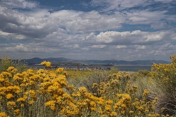 Mono lake