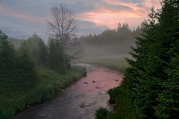 Ráno u potoka