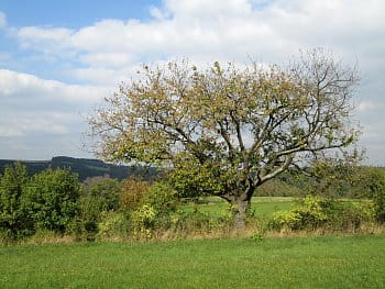 Nastávající podzim na Vysočině