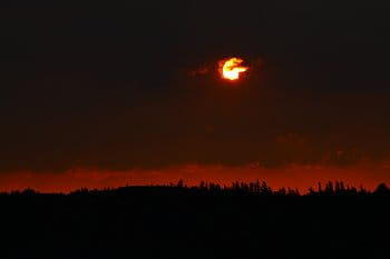 východ slunce nad lesem