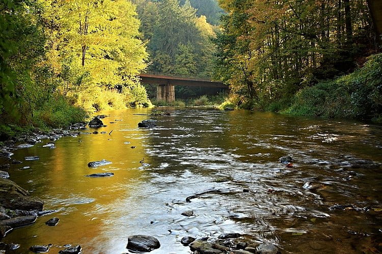 Zlatá Kamenice