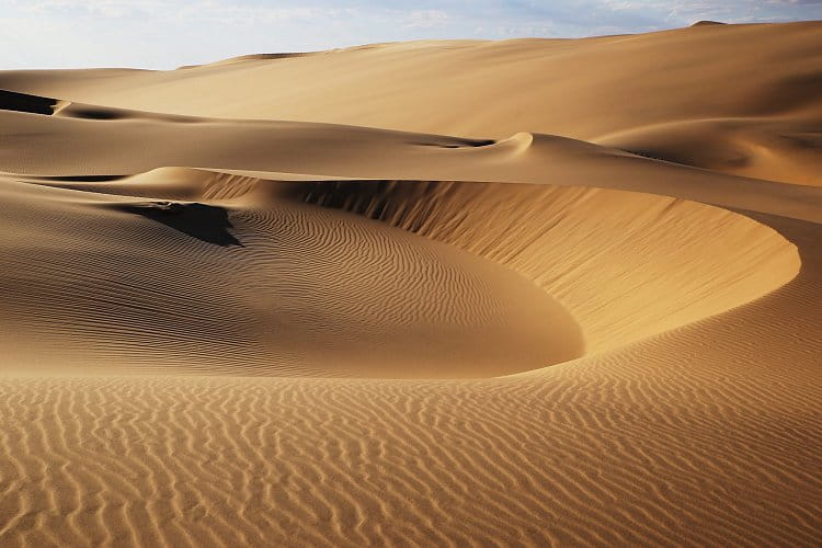 V poušti Namib (2)