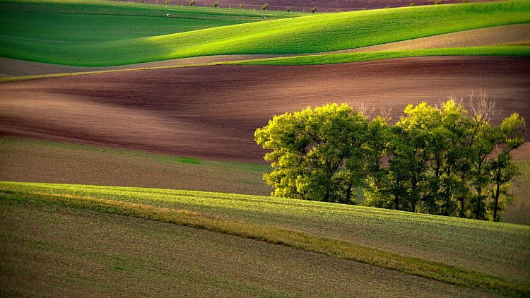 Podvečerní linie 2