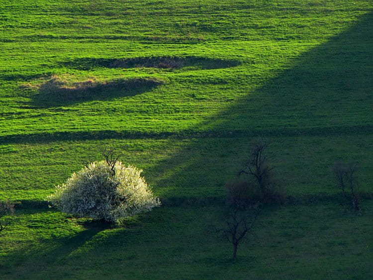 Podvečerní diagonála