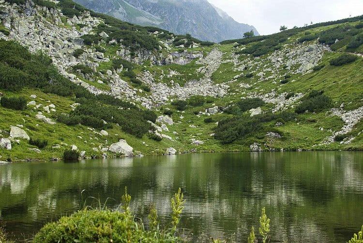 Roháčské pleso