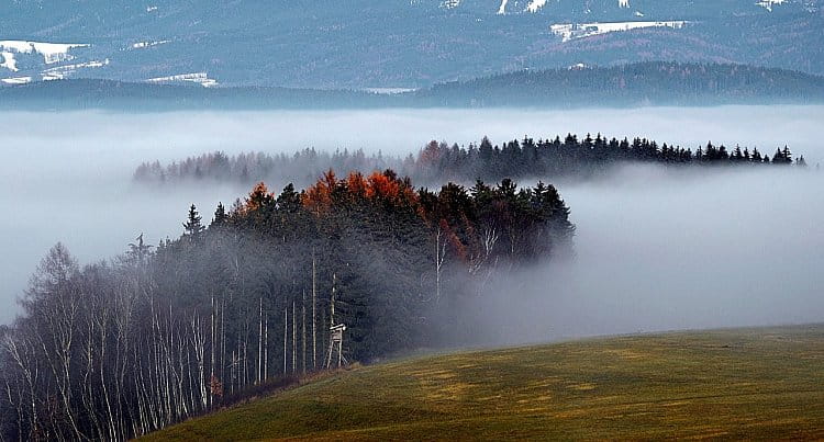 Mlžno