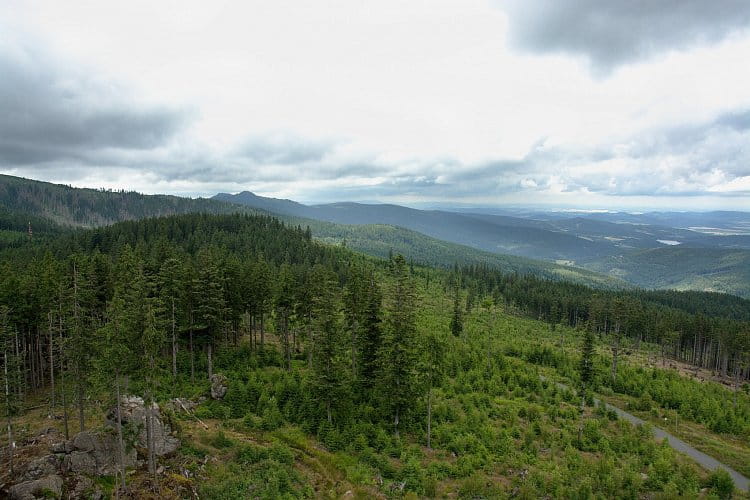 Šumava