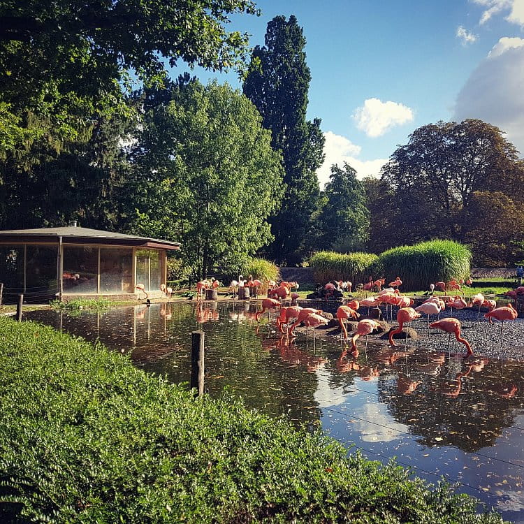 Zoo Dresden