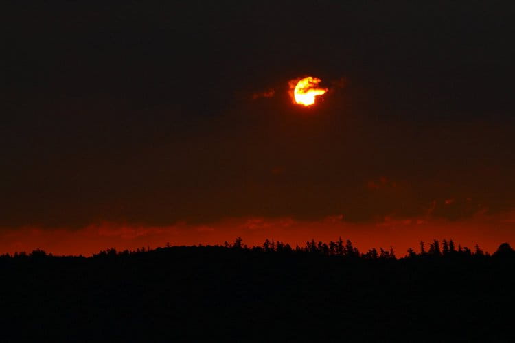 východ slunce nad lesem