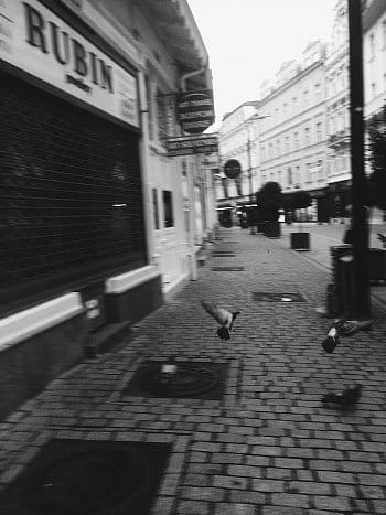 Karlovy Vary