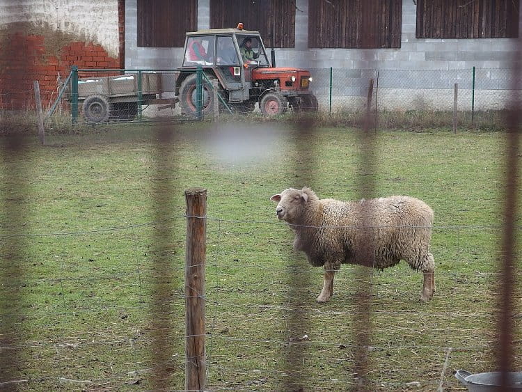 Život na vesnici