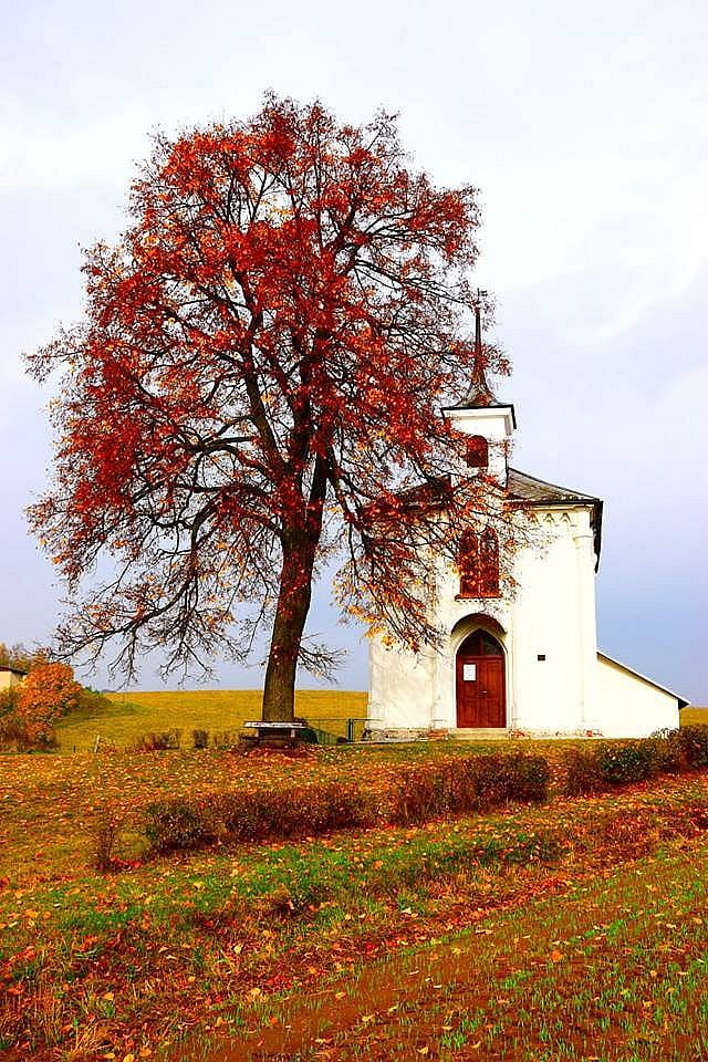 Kaplička