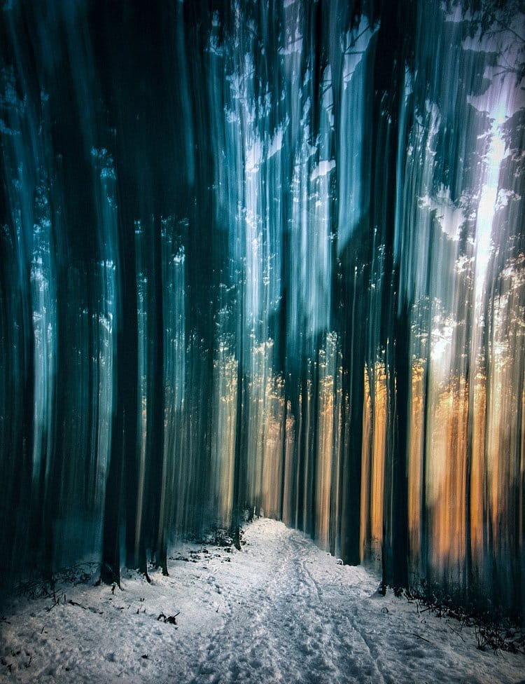 Jednou v lese