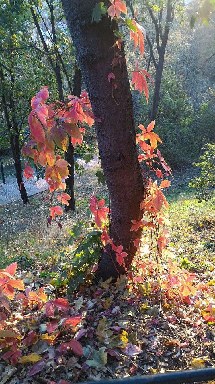 Jeden mezi všemi