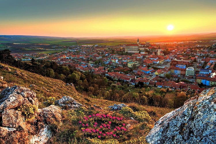 Mikulov