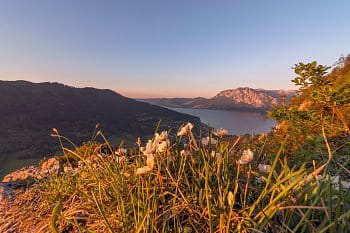 Jezero Attersee