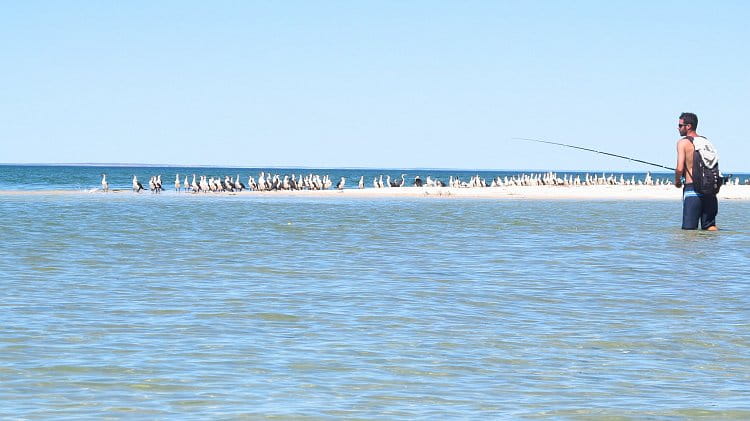 Australské rybaření