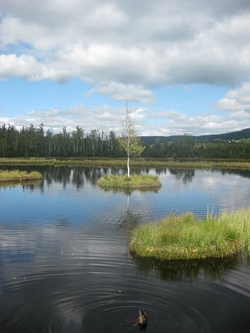 Šumava Chalupská slať