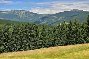 Krkonošské panorama