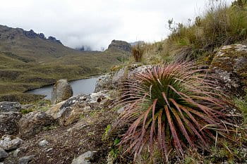 V Andách , Ecuador