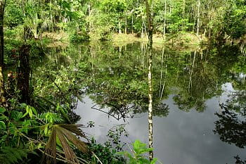 Amazónia, Ecuador