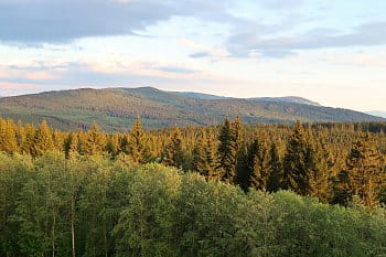 Šumava