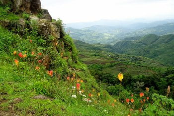 Krása etiópskej prírody (pohorie Kibish)