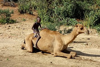 Chlapec a jeho ťava, Etiópia