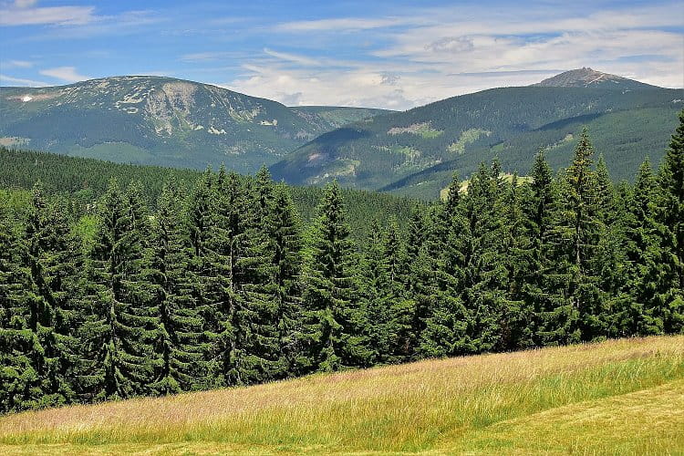 Krkonošské panorama