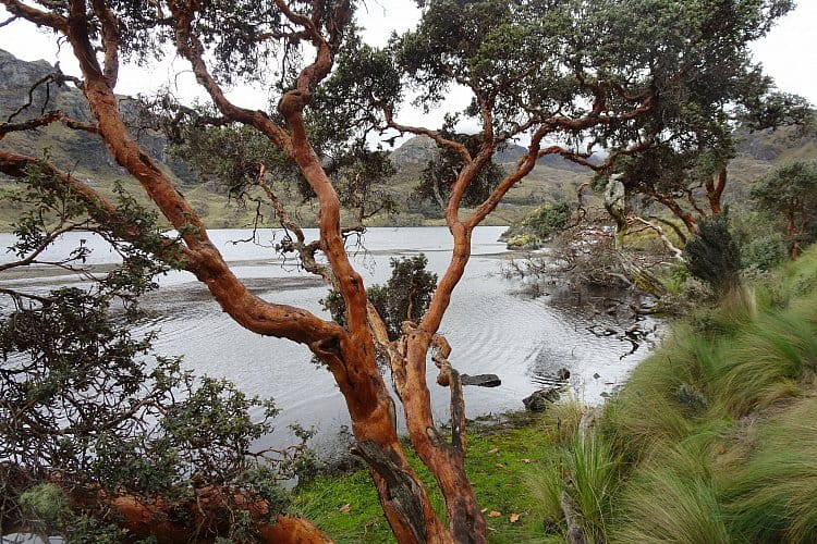 Pri jazere v El Cachas, Ecuador