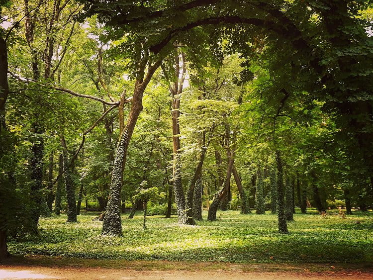 Městský park