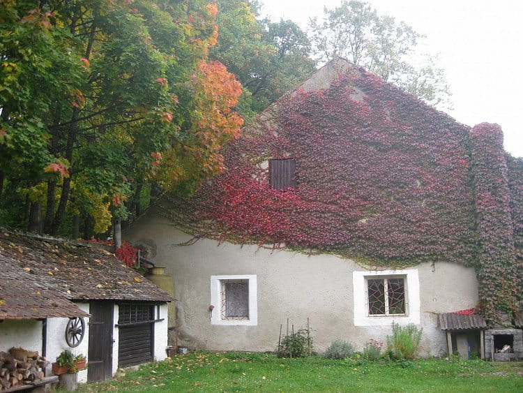 Podzim na hájovně