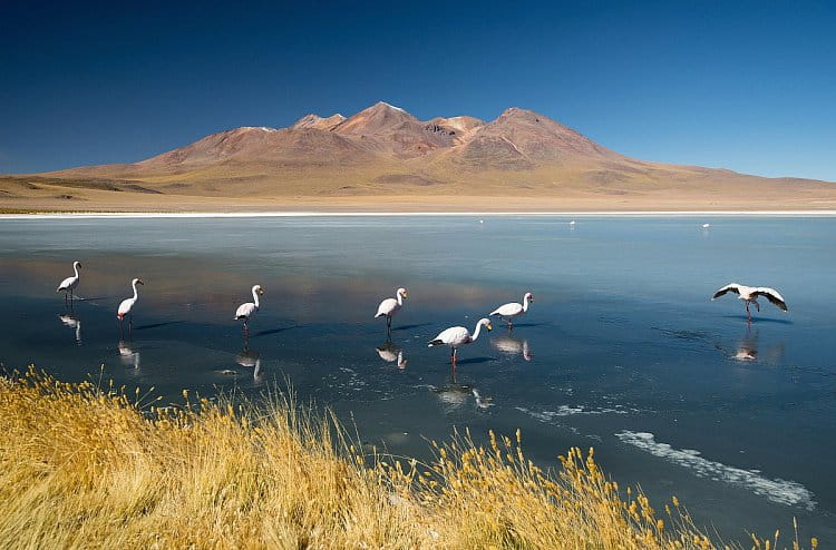 Laguna Canapa