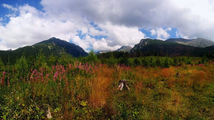 Tatry