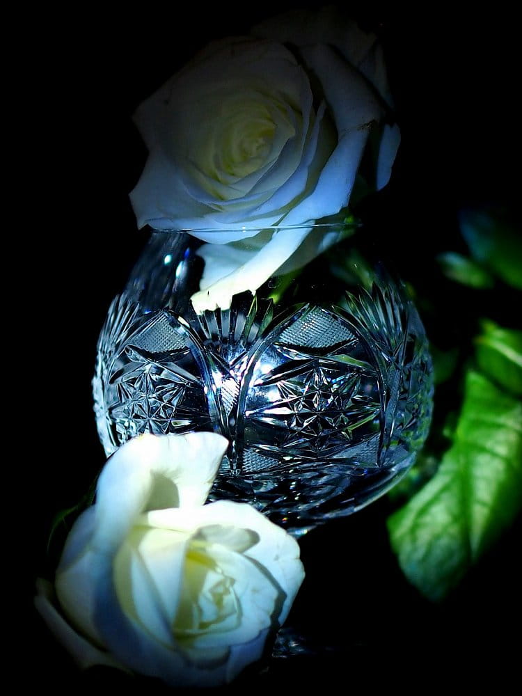 Růže, sklo a tma