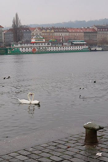 Láska na vodě