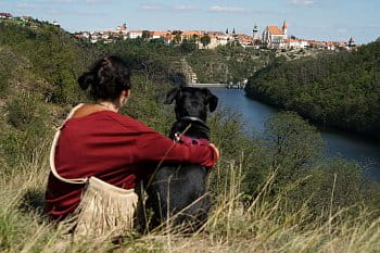 Znojmo, vidím tě dvojmo