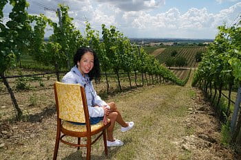 Odpočinek ve vinohradu