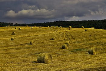 Po sklizni