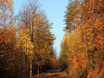 Podzimní romance