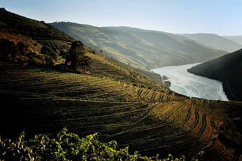 Douro ve večerním světle