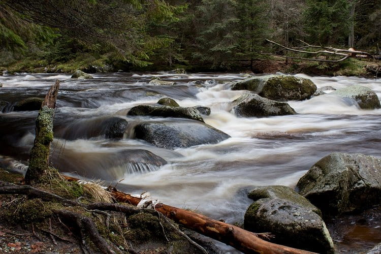 Šumava