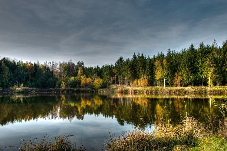 krása podzimu - Rybník Bíteš