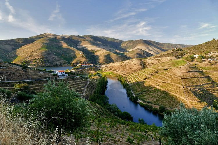 Douro